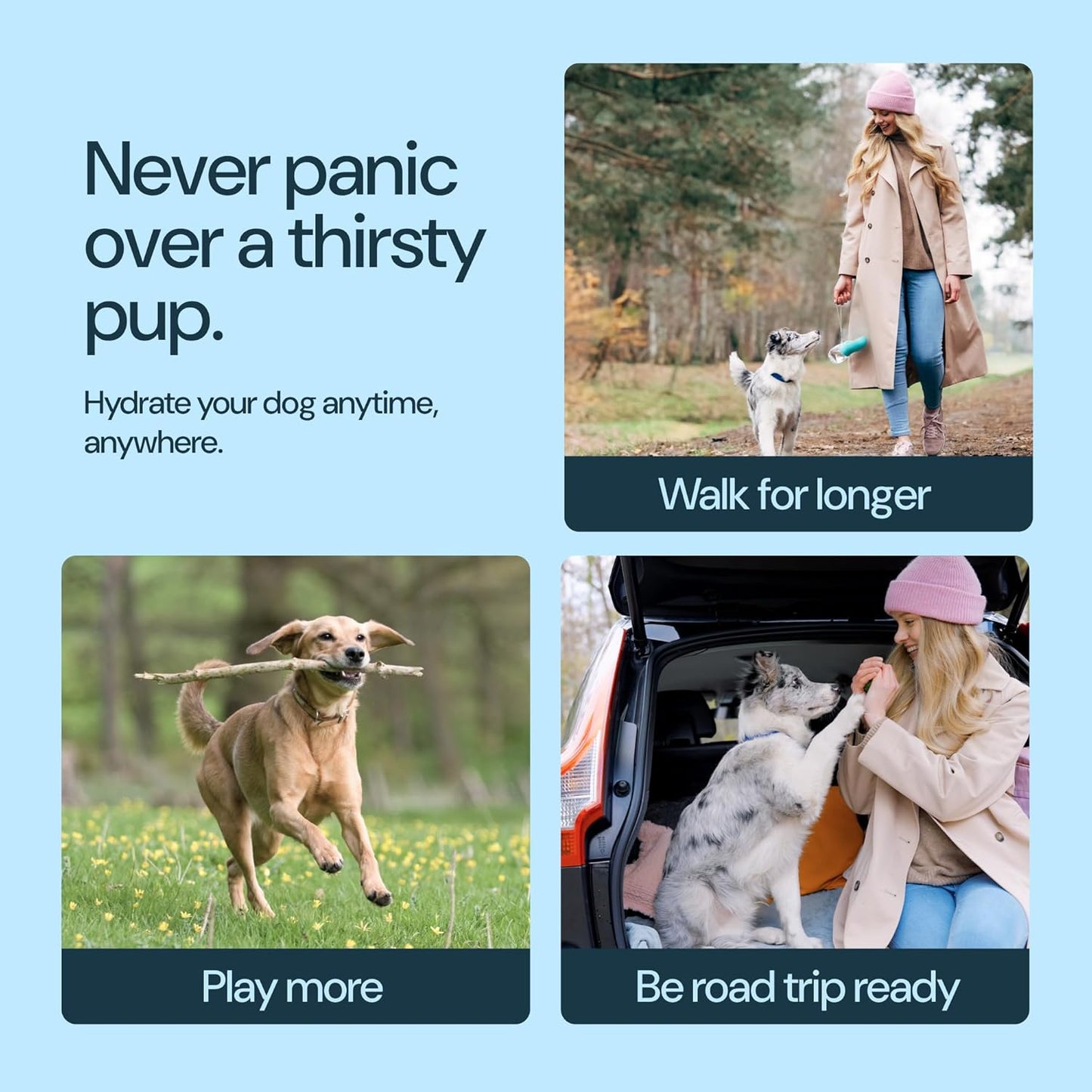 Leak-Proof Portable Dog Water Bottle (19oz / 550 ml) – One-Hand Flow, BPA-Free